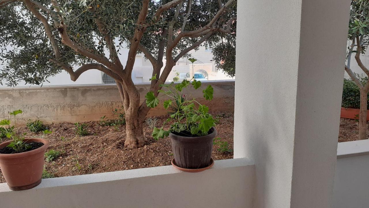 Apartments Slavica بول المظهر الخارجي الصورة